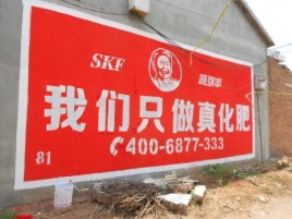  遂平刷墙广告”蕴含了时代命题