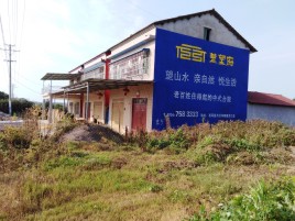  遂平必须知道的墙体广告形势