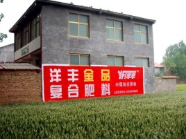  遂平如何让墙体广告展现最大化效果