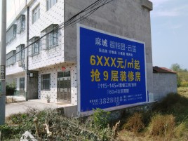  遂平墙体广告质量分析