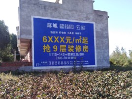  遂平品牌公司青睐的墙体广告