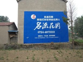  遂平农村墙体广告的长尾效应
