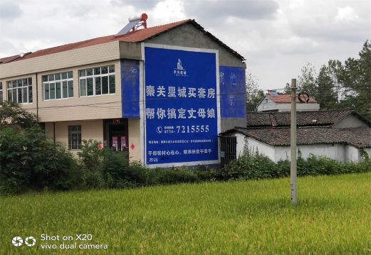 遂平决定墙体广告价格的因素有哪些?