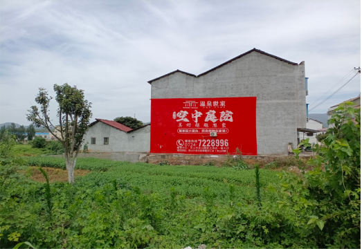  遂平做墙体广告的意义