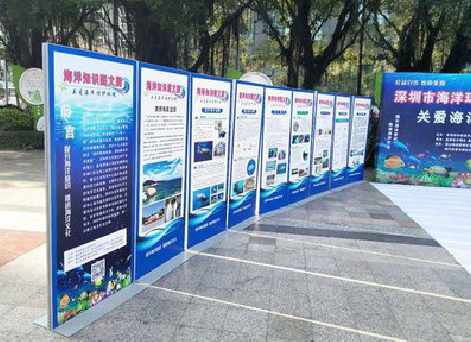  遂平KT板的种类和知识。